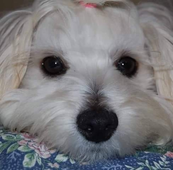 rileyuny2010